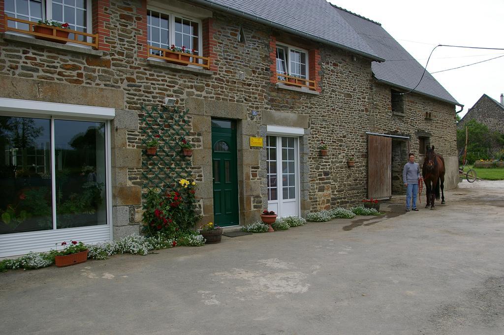 Sacey Marie France 'S Home المظهر الخارجي الصورة